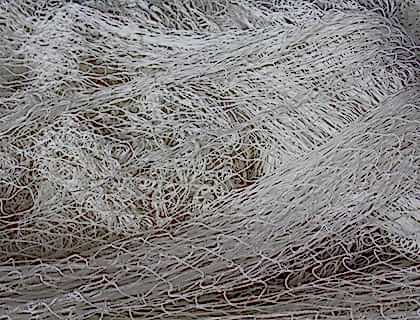 Balık Ağı Hizmeti